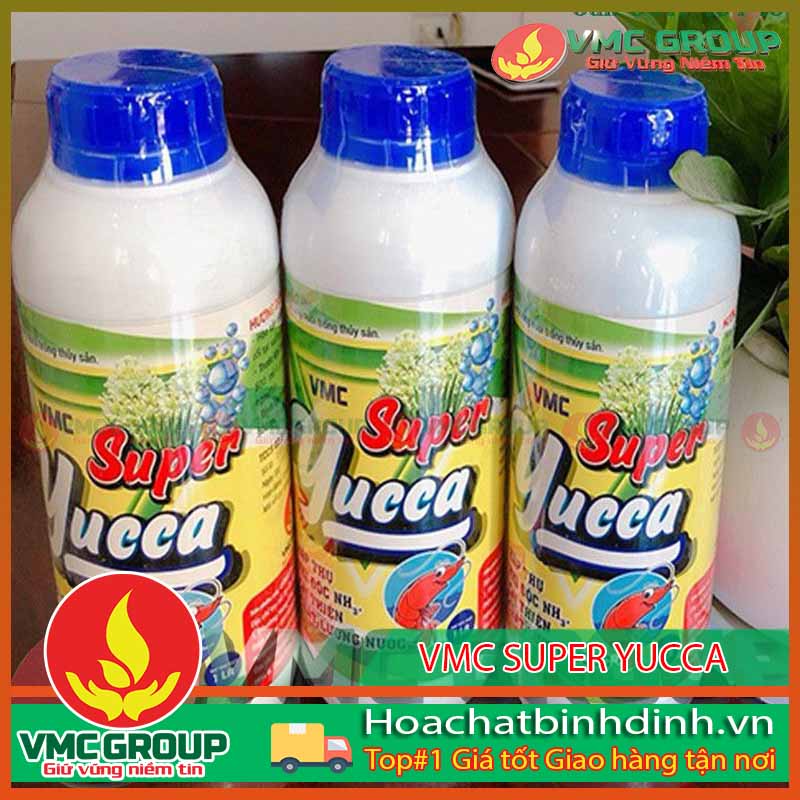 1 Avata hoachatbinhdinhvn